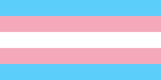 Trans flag, horizontal blue, pink and white lines