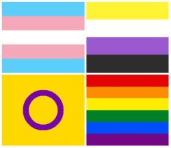 Flags. LGBT, Intersex, Non Binary and Trans