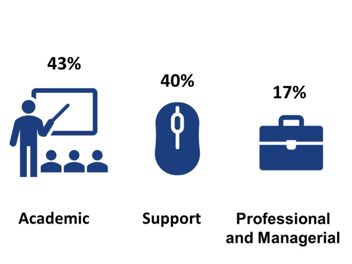 Graphic showing percentage of staff data in academic (43%), support (40%) and professional (17%) roles